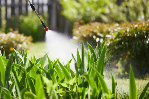 24/7 Emergency Mosquito Control experts in Bethpage, NY