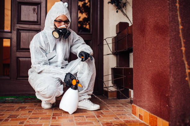 Reliable Mosquito Control contractor in Bethpage, NY by Show Me Pest Control